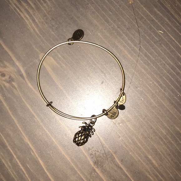 Alex and ani bracelet - Picture 1 of 1
